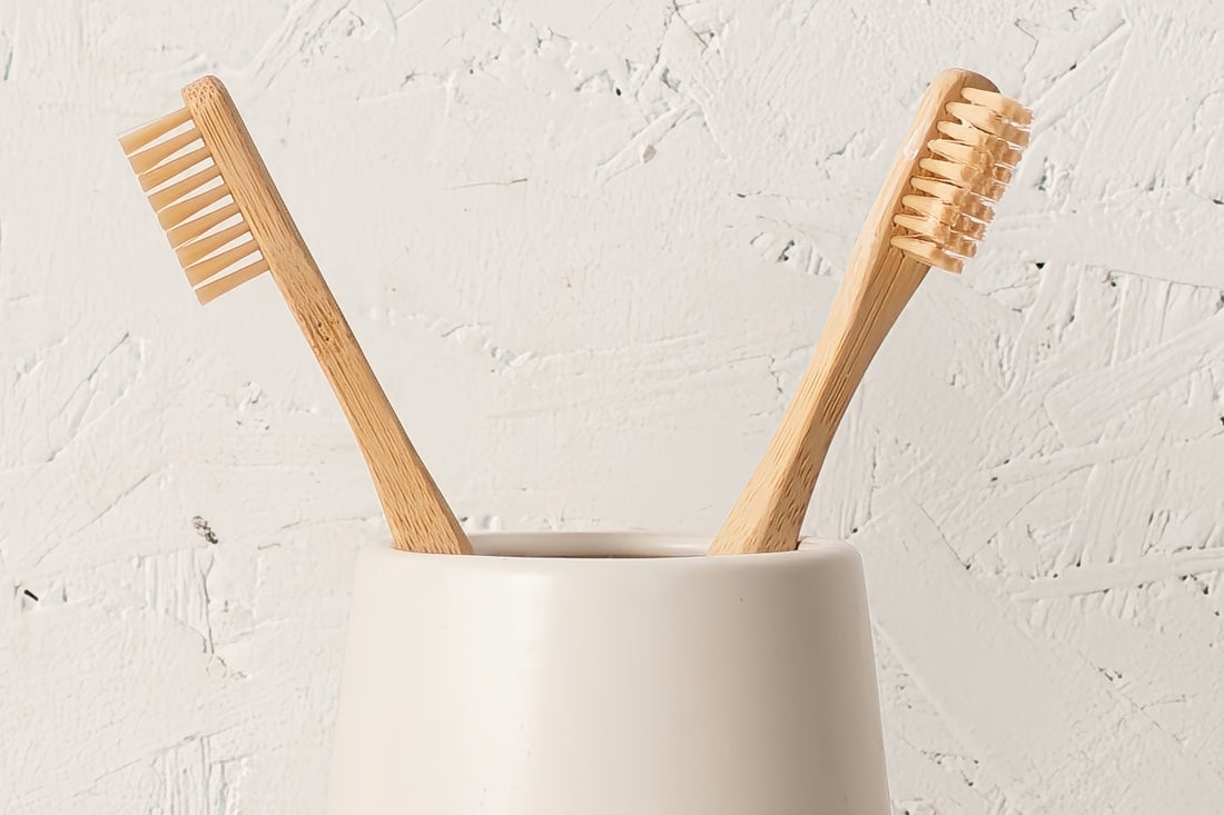 Plastic vs Bio-Based Toothbrush Bristles